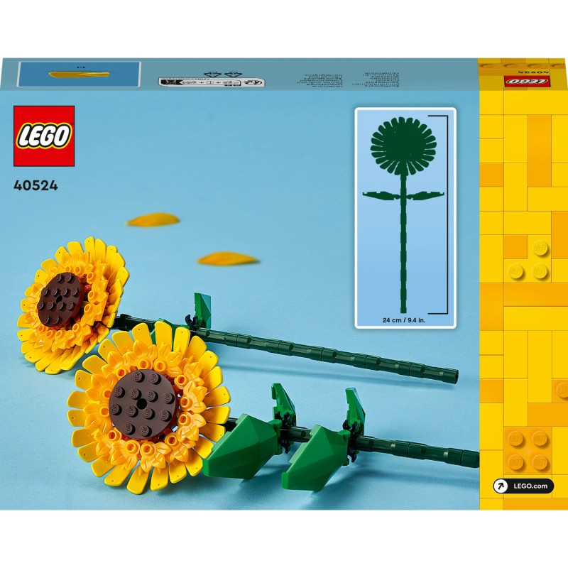 Collection Botanique Tournesols 40524