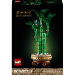 Botanique le bambou de la chance 10344 dès 18 ans