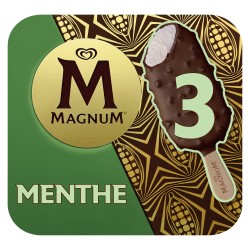 Glace bâtonnet menthe chocolat x3 234g