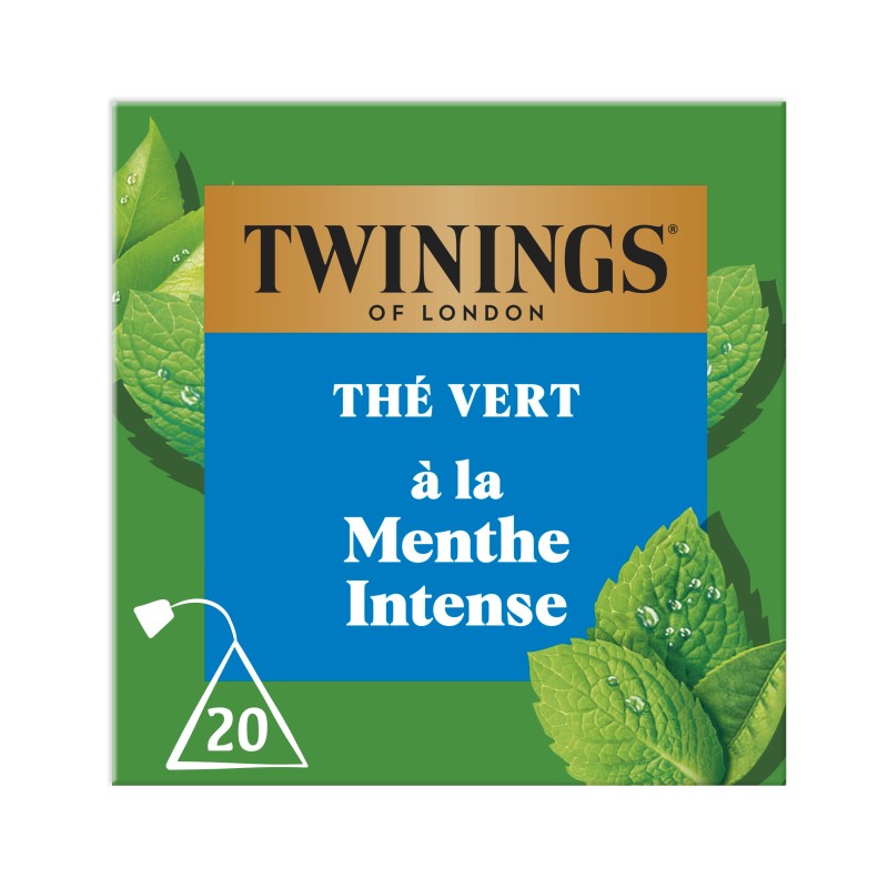 Thé vert menthe intense x20