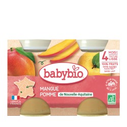 Purée Pomme Mangue dès 4 mois 2x130g