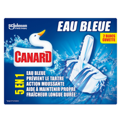 Bloc WC 5 en 1 colorant eau bleue x2