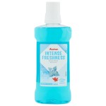 Bain de bouche fraîcheur intense 500ml