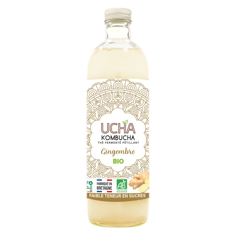 Thé fermenté pétillant Kombucha au gingembre bio 75cl