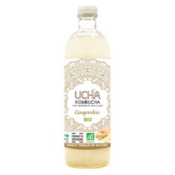 Thé fermenté pétillant Kombucha au gingembre bio 75cl