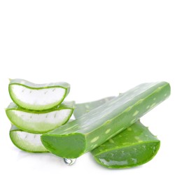 Bio Aloe Vera