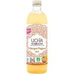 Kombucha thé fermenté pétillant à la mangue passion bio 75cl