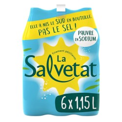 Eau gazeuse minérale naturelle pauvre en sodium 6x1.15l