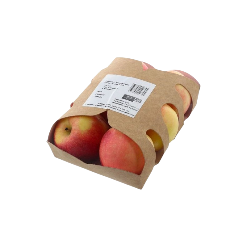 Pomme gala bio 6 fruits