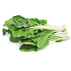 Côtes de blettes botte