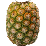 Ananas sans plumet pièce