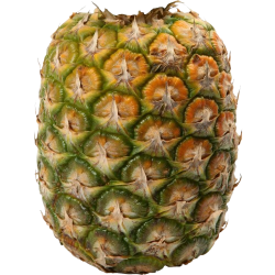 Ananas sans plumet pièce