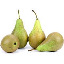 Poires Conférence bio 4 fruits