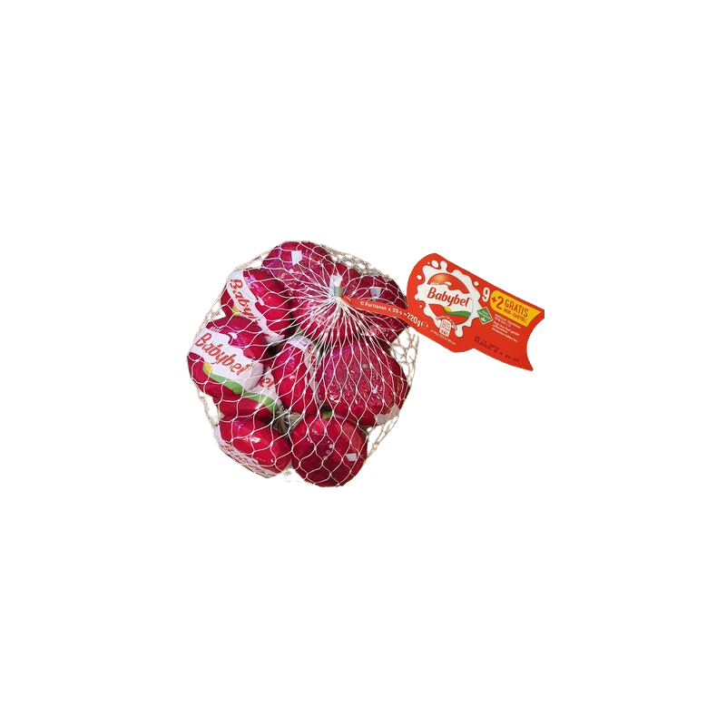 Fromage fondu au lait pasteurisé x9 180g