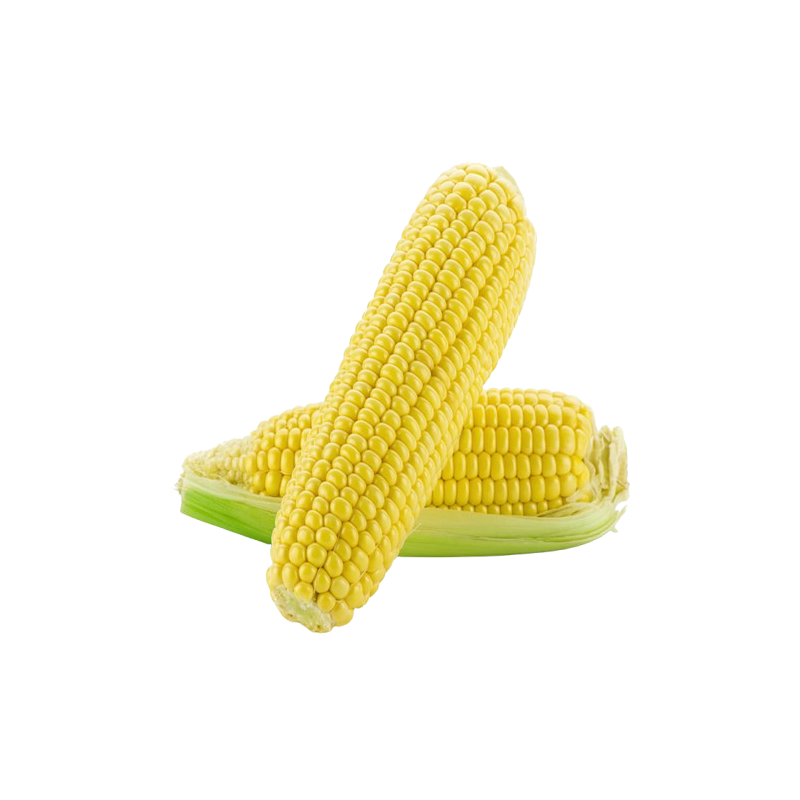 Epis Maïs Frais x2