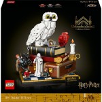 Harry Potter l'école des sorciers édition collector 76466 dès 18 ans