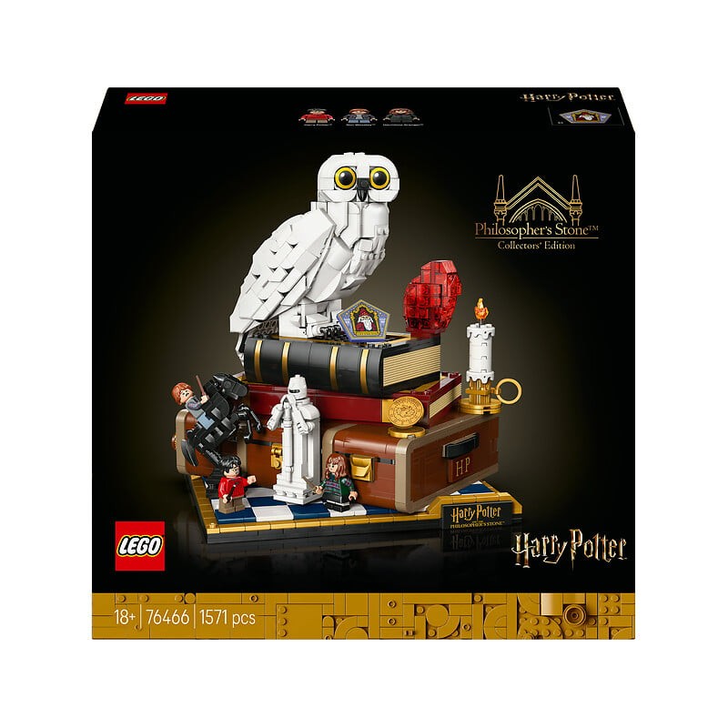 Harry Potter l'école des sorciers édition collector 76466 dès 18 ans