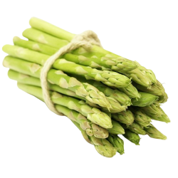 Asperge verte botte