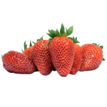 Fraise Ciflorette 250g