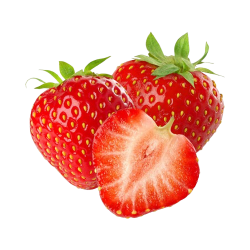 Fraise gariguette 250g