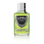 Bain de bouche menthe forte 125ml