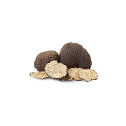 Truffe fraîche Melanosporum une à deux pièces 20g minimum