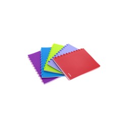Cahier A4 Plastique Transparent Petits Carreaux