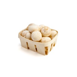 Bio Champignon Blanc 250g