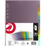 Intercalaires Polypro 21x29.7cm x12