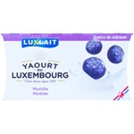 Yaourt myrtille 1.5%MG 2x125g