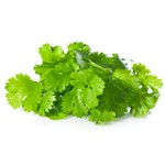 Coriandre 20g