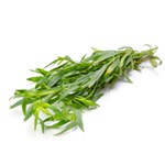 Estragon 20g
