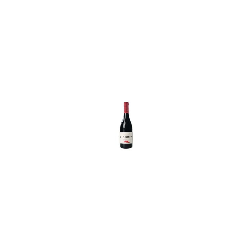 Quinta de Cabriz DAO Rouge 13% 75cl