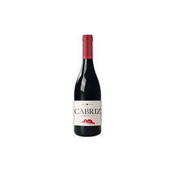 Quinta de Cabriz DAO Rouge 13% 75cl