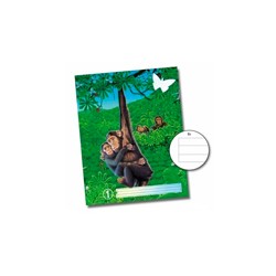 Cahier Forêt Vierge A5 Numero 1