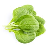 Pousses d'Epinard 125g