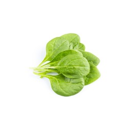 Pousses d'Epinard 125g