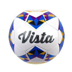 Ballon de Football Taille 5 Blanc et Bleu