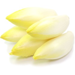 Chicon Endive 1kg