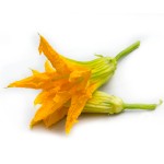 Fleur de Courgette 60g