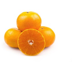 CULTIVONS LE BON Oranges à déguster non traitées après récolte 4 fruits