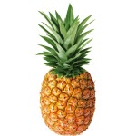 Ananas Bio Pièce