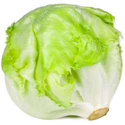 Salade Iceberg pièce
