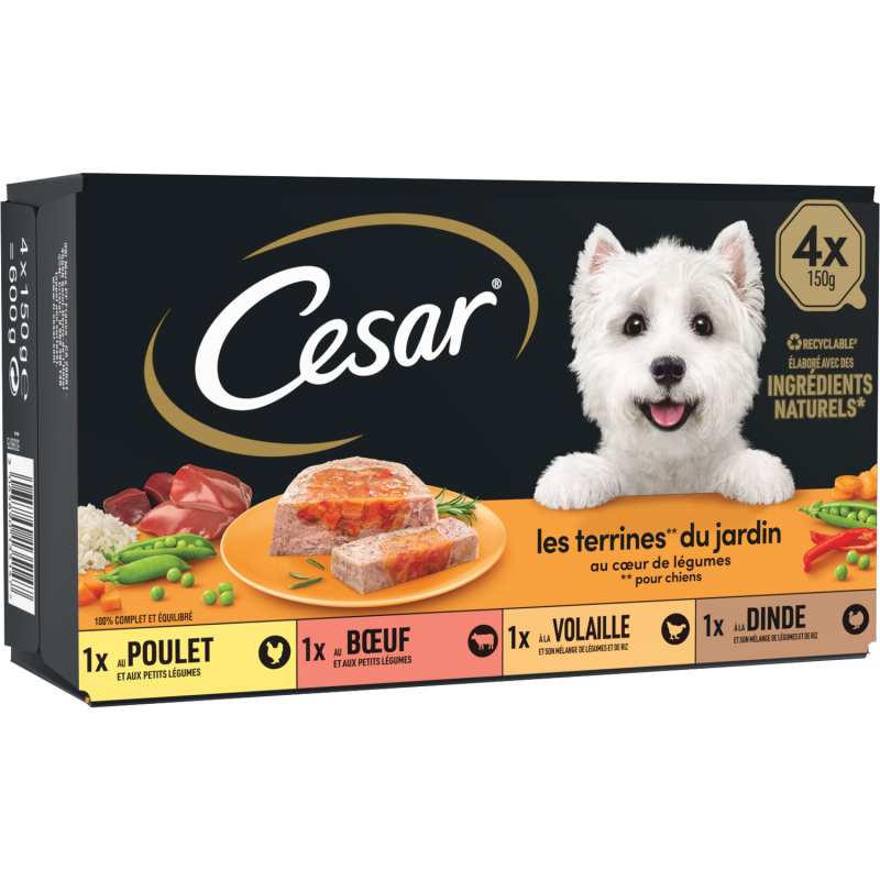 Terrines au Coeur de Légumes 600g