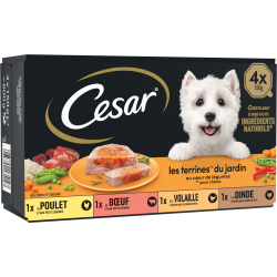 Terrines au Coeur de Légumes 600g