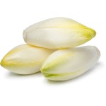 Chicon endive bio 3 à 5 pièces