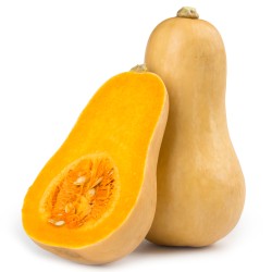 Potiron Butternut pièce