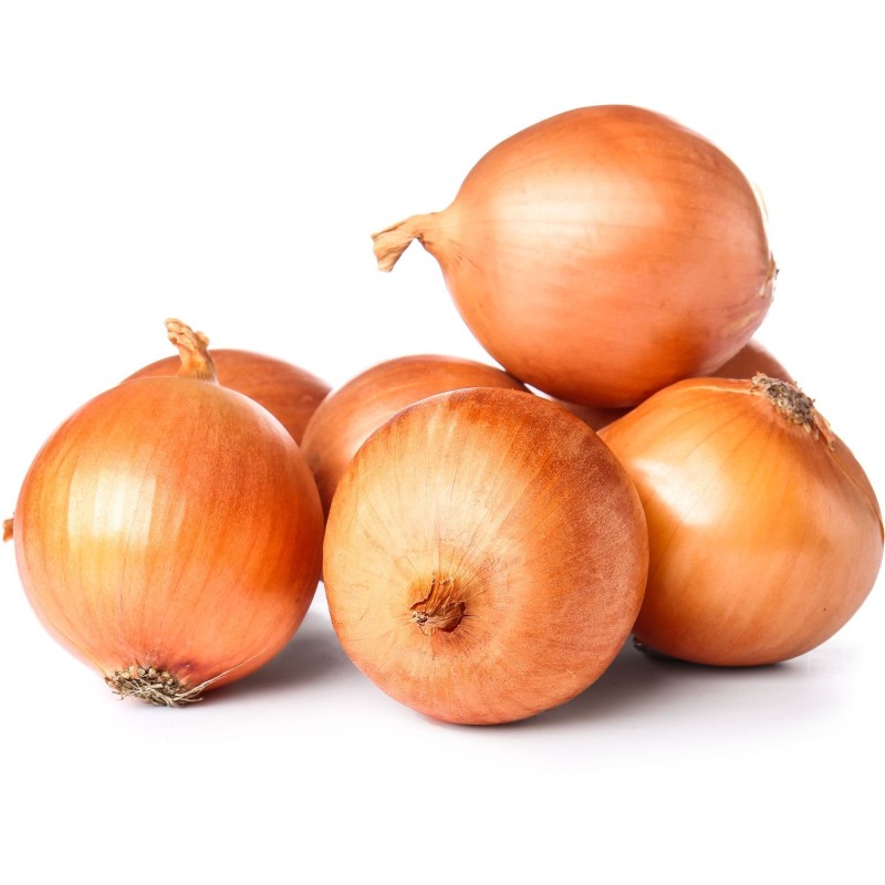 Oignon jaune tube 4 têtes