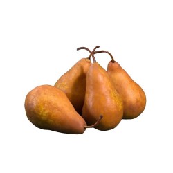 CULTIVONS LE BON Bio Poires Selena 4 Fruits