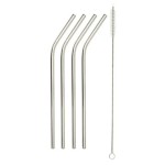Paille Inox x4 + Goupillon